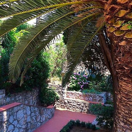Villa Karolina Dubrovnik Rom bilde