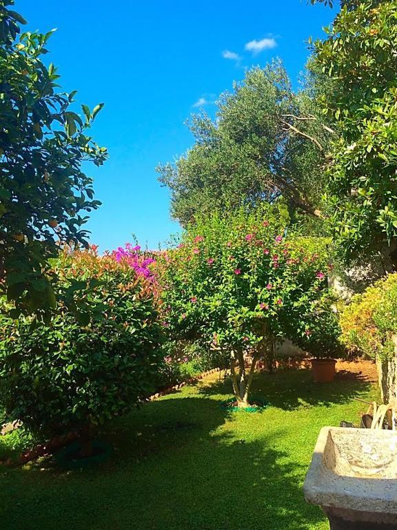 Villa Karolina Dubrovnik Eksteriør bilde